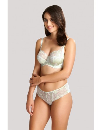 Panache Clara Slip Kleine - Grote Maten 38 Tot 44 - Soft Sage - 7253