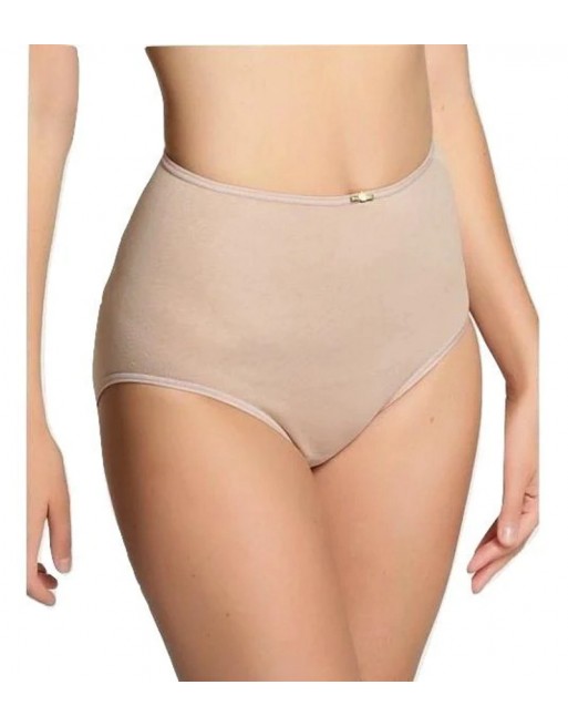 Avet Slip Taille Haute Coton Petites Et Grandes Tailles M à  XXL - Arena - 3167